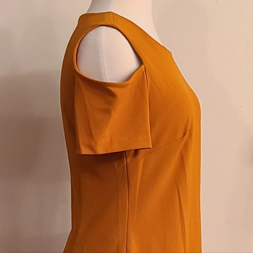 NWT Tommy Hilfiger size 8 rust color dress - Picture 3 of 8